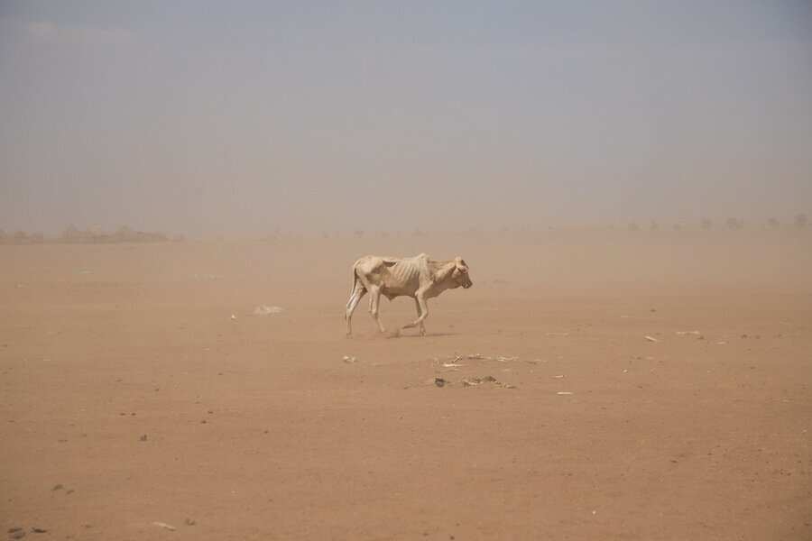 Ethiopia: Not a drop of rain in last 18 months for Hargududo village