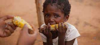 UN: 139 million people were food insecure in India