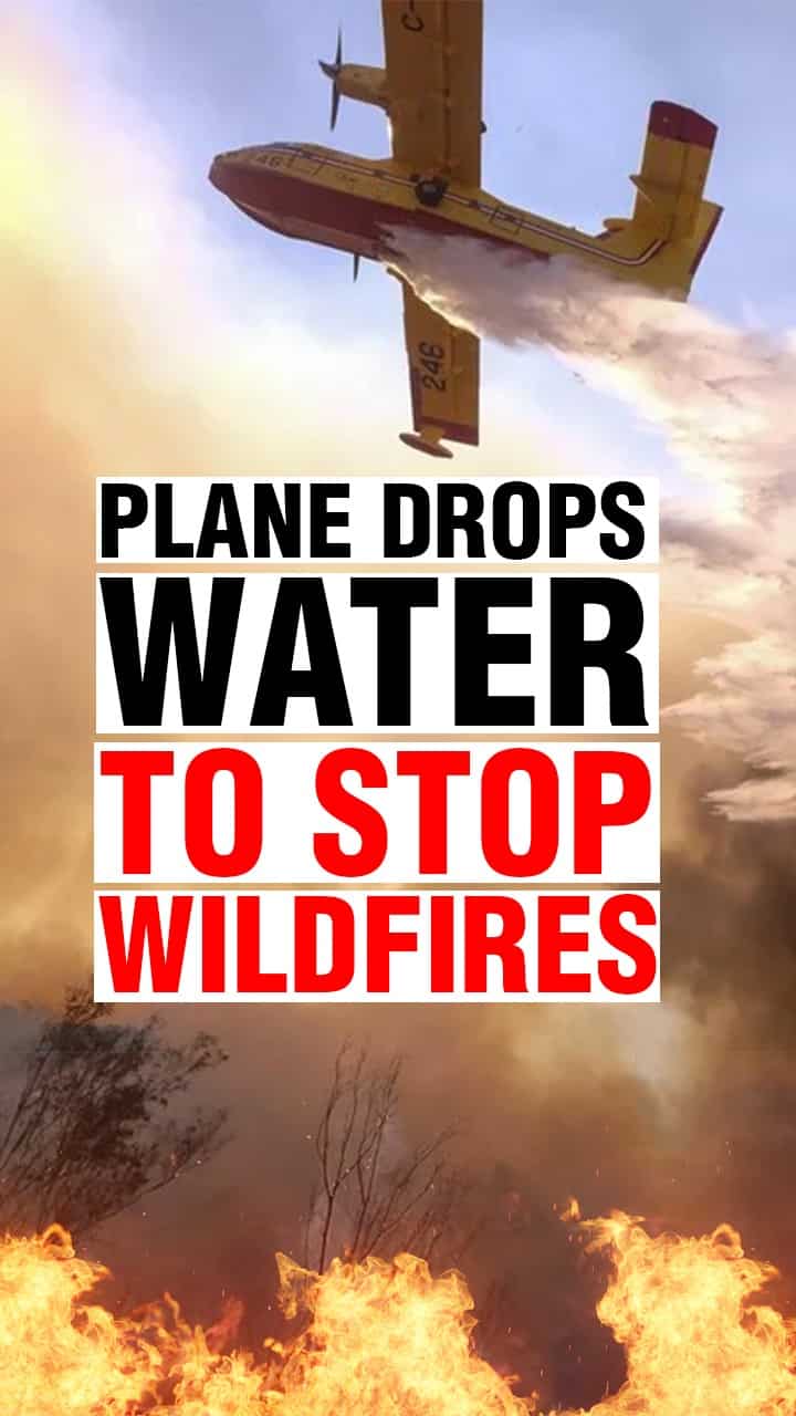 Watch: Wildfires rage in New Mexico, plane used shower water
