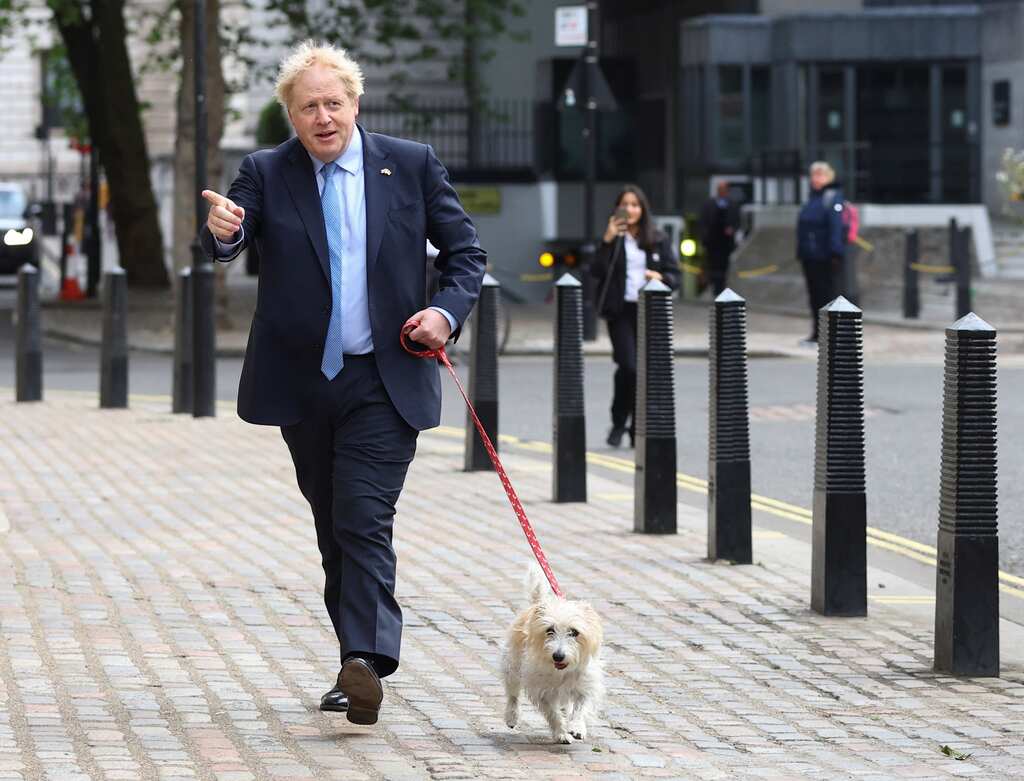 United Kingdom: PM Boris Johnson casts his vote in the UK local elections