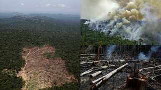 Alarming! Deforestation in Brazil’s Amazon hits new records, kicks off climate concerns
