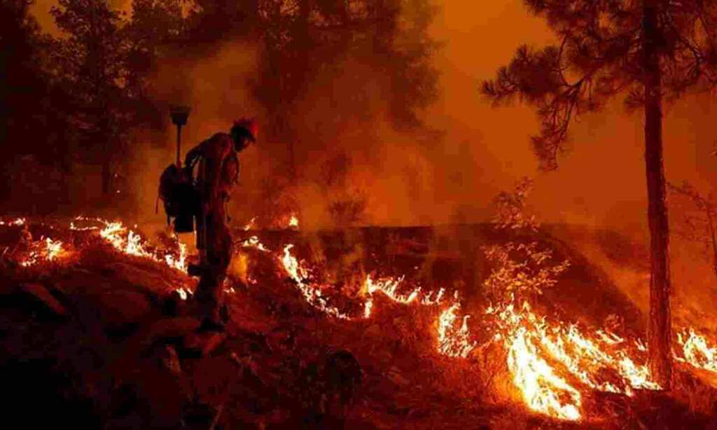 Hermits Peak Fire: Second-largest in New Mexico's history