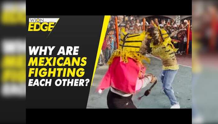 Mexicans are fighting each other dressed as tigers, but why?