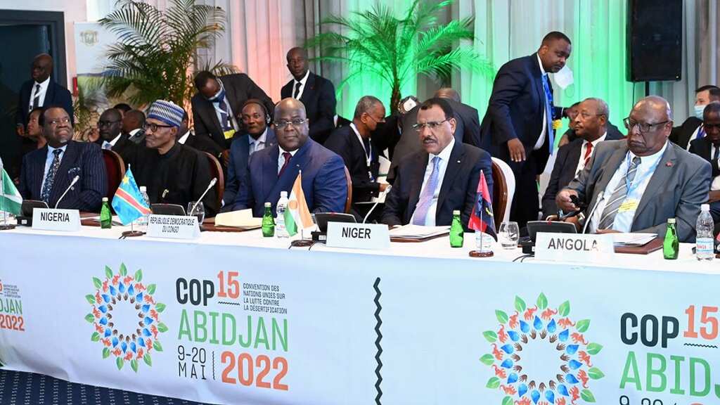 UN COP15 talks in West Africa's Abidjan: Leaders discuss land degradation