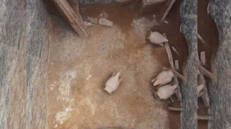 Indians knew the use of iron 4200 years ago: Excavations in Tamil Nadu show