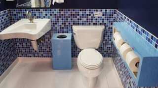 On getting caught, lawmaker apologises for logging into parliamentary session from toilet stall in Canada