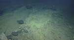 ‘Is that road to Atlantis?’ Deep-sea divers discover mysterious yellow brick path in the Pacific