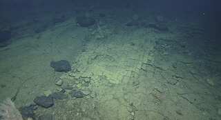 ‘Is that road to Atlantis?’ Deep-sea divers discover mysterious yellow brick path in the Pacific