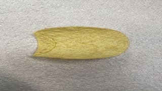 'One of a kind': UK man sells single 'extremely rare' potato chip for £2,000