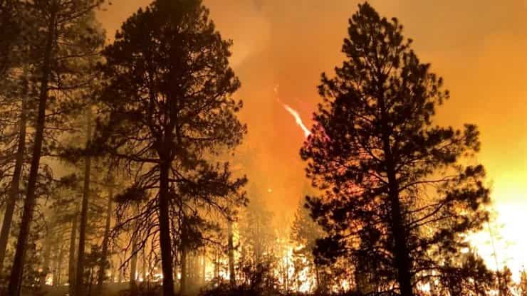 Wildfire ravages South California county, fast-moving blaze engulfs 20 homes