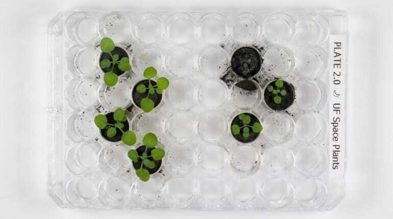 Astonishing discovery! Not just Earth, Moon’s soil fertile enough to grow plants successfully