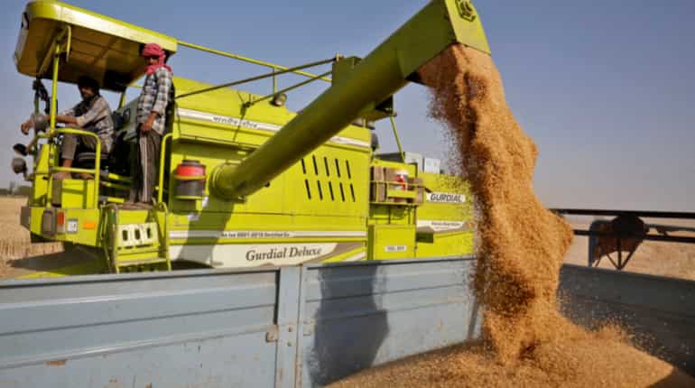 Egypt to buy 180,000 tonnes of Indian wheat, says supply minister