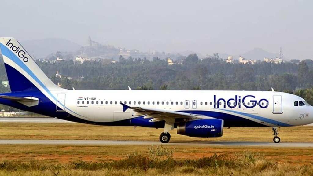 IndiGo incident: How much do we understand disability?