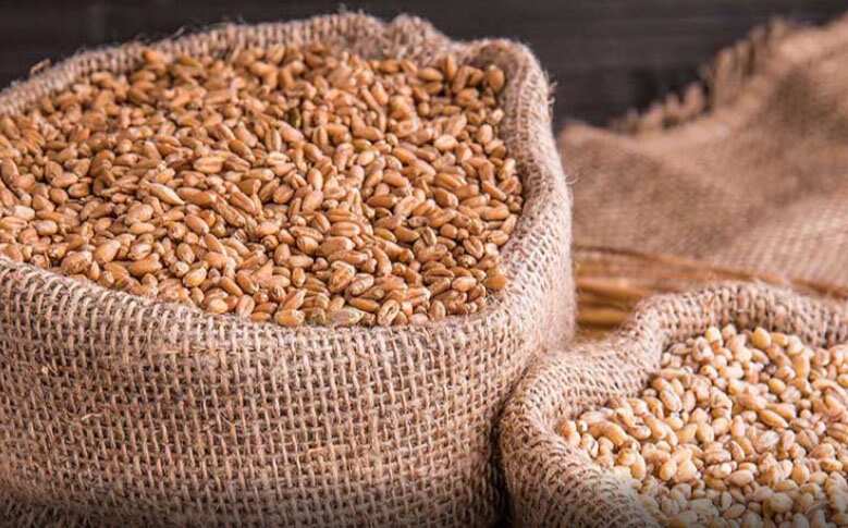India bans export of wheat to other nations to control rising prices