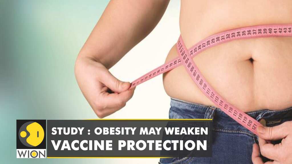 Turkish Study shows obesity may weaken vaccine protection in the never infected
