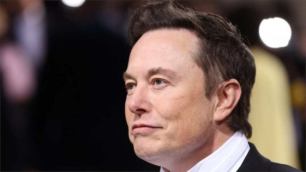 Tesla CEO Elon Musk puts Twitter acquisition temporarily on hold