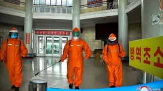 N Korea Covid outbreak could lead to new coronavirus variants: WHO