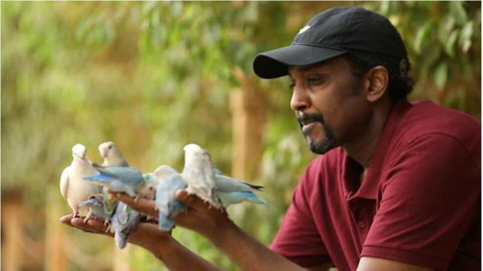 Khartoum reserve houses exotic birds, over 100 birds from 13 species found here