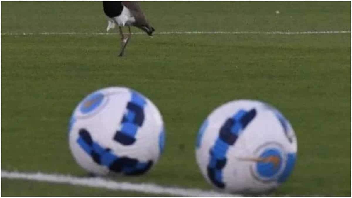 Japan 'sounded out' about hosting 2023 Asian Cup after China's withdrawal Japan 'sounded out' about hosting 2023 Asian Cup after China's withdrawal