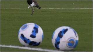 Japan 'sounded out' about hosting 2023 Asian Cup after China's withdrawal