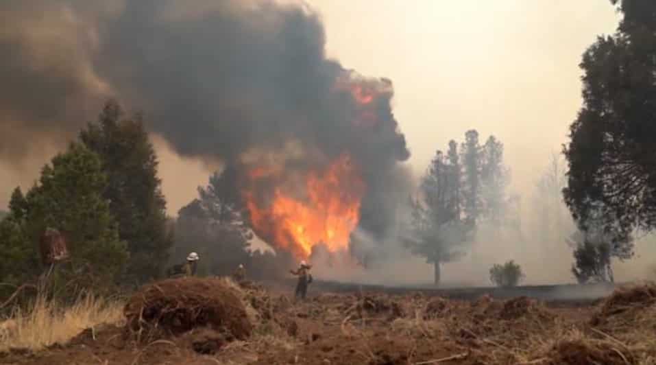New Mexico: Rain brings relief to massive wildfires