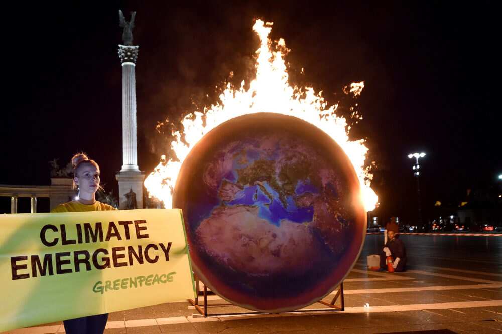 Greenhouse gas, sea level all broke records in 2021, says UN, warns of 'climate catastrophe'