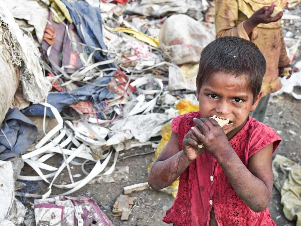 Russia-Ukraine war could cause mass hunger and famine due to food insecurity, UN warns