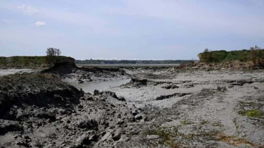 World’s oceans at most acidic level in 26,000 years, climate report warns