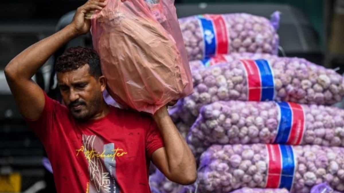 World Bank to provide additional $12 billion to address global food crisis