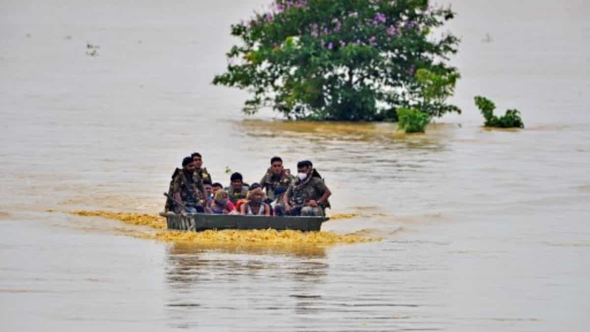Natural disasters: The other cause