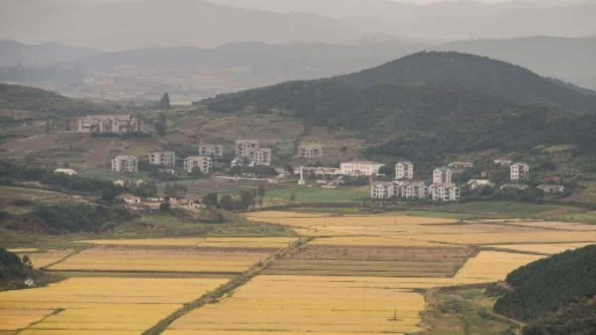 The community of El Sabinal