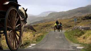 This German woman swaps SUV for horse-drawn carriage to save money. Would you try it?