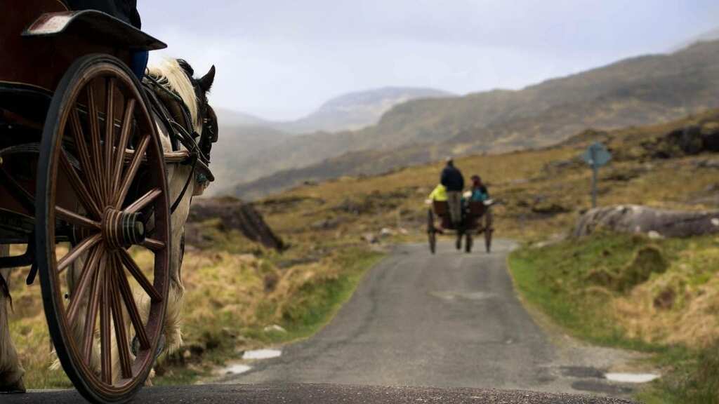This German woman swaps SUV for horse-drawn carriage to save money. Would you try it?