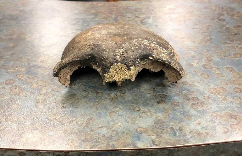 Part of skull dating back almost 8,000 years found in Minnesota River