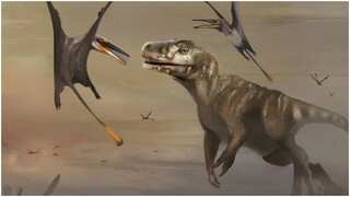 'Dragon of Death': This scary flying dinosaur comes, and boom you're dead