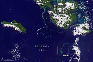 NASA releases satellite pics of ‘Sharkcano’ eruption, where mutant sharks thrive