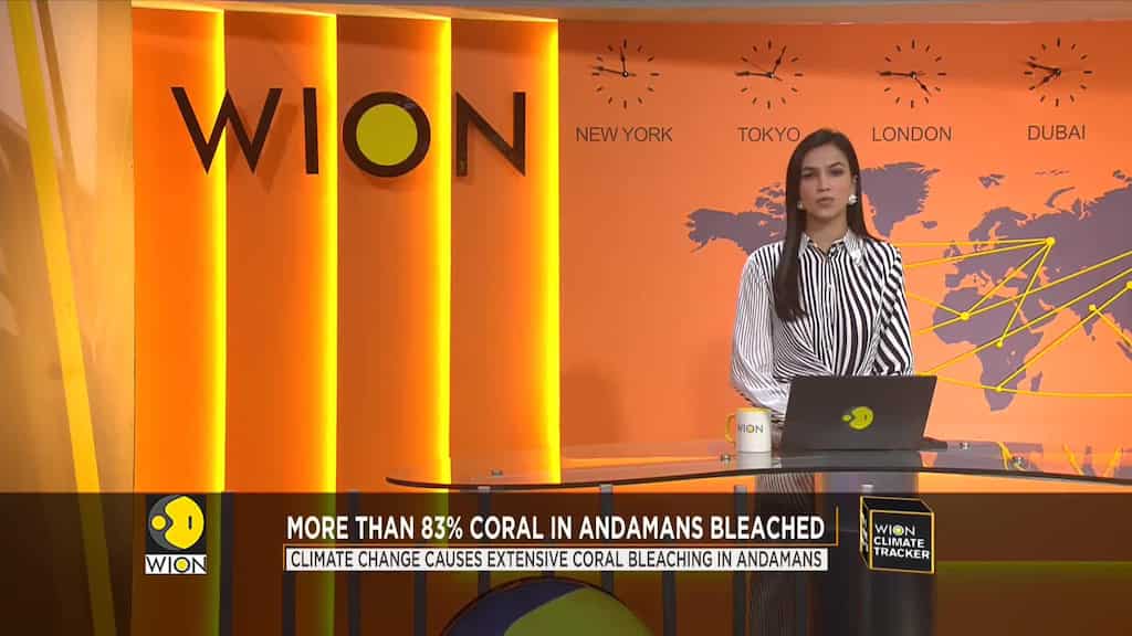 Climate change causes extensive coral bleaching in Andamans
