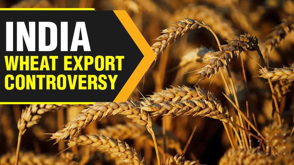 Wheat: How important is it to the world and why has India banned its export?