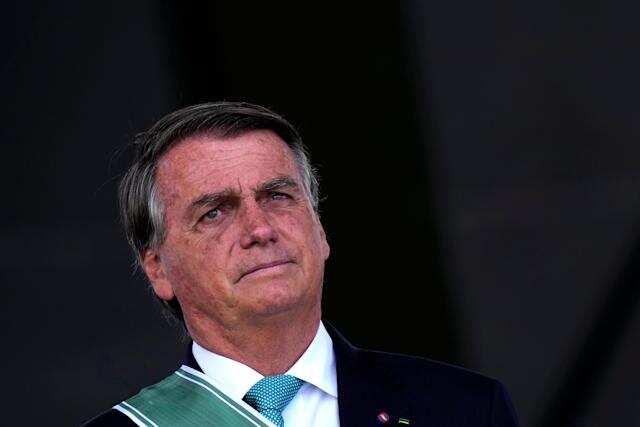 Brazil steps up climate action: Imposes heavy penalty on illegal timber supply