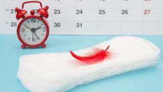 Menstrual Hygiene Day: How women have managed periods throughout history