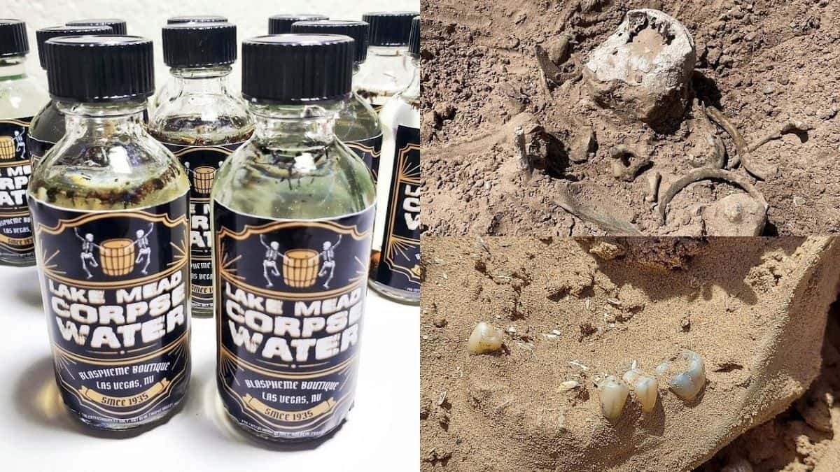 Capitalism at its best: Shop sells 'corpse water' after bodies of mafia victims found in lake Mead Capitalism at its best: Shop sells 'corpse water' after bodies of mafia victims found in lake Mead