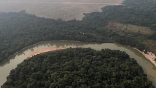 Are these the lost cities of Amazon? Monumental platform, pyramid architecture discovered hidden under trees
