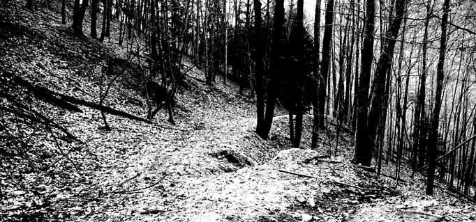 FBI authorised a gold digging hunt in Pennsylvania; what did they find?