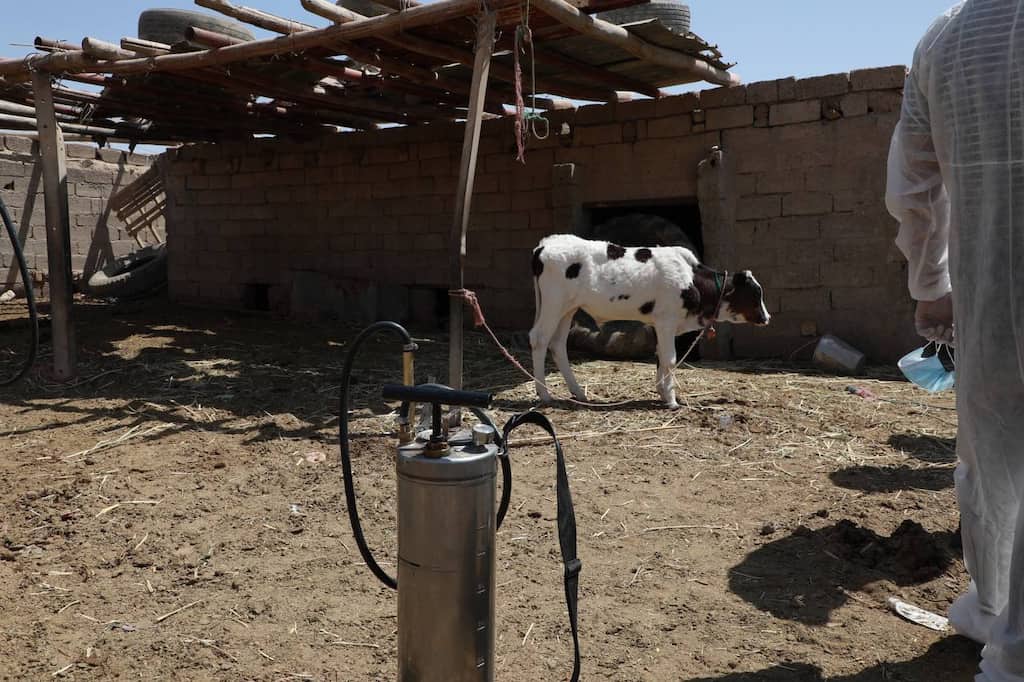 Iraq seeing outbreak of nose-bleed fever. Here’s what we know about the deadly disease