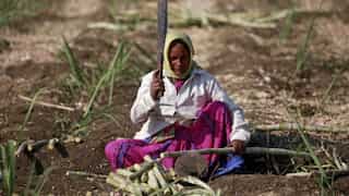 Women in Beed district of Maharashtra are getting their wombs removed