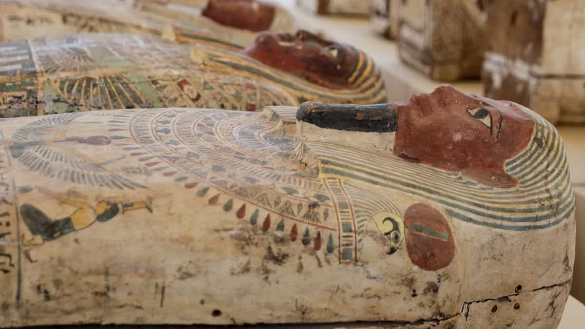 Well-preserved papyrus