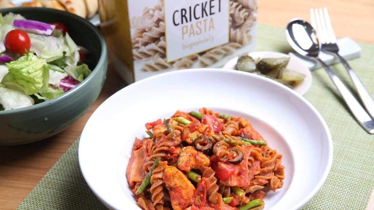 'Farming and eating edible insects', British organisations' idea to help a hungry Africa 'Farming and eating edible insects', British organisations' idea to help a hungry Africa