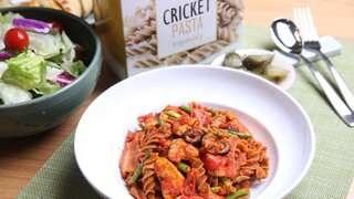 'Farming and eating edible insects', British organisations' idea to help a hungry Africa