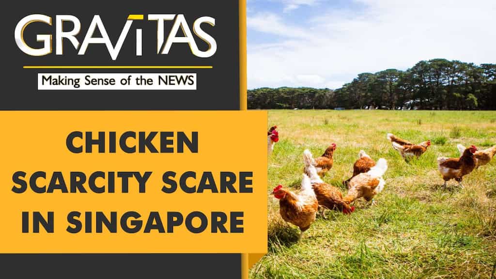 Gravitas: Supply crunch forces Malaysia to ban chicken export