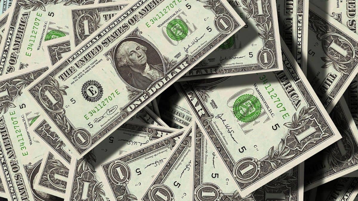 Woman finds USD 36k in couch she bought, returns the money Woman finds USD 36k in couch she bought, returns the money